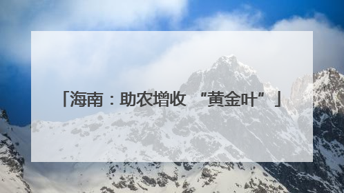 海南：助农增收 “黄金叶”